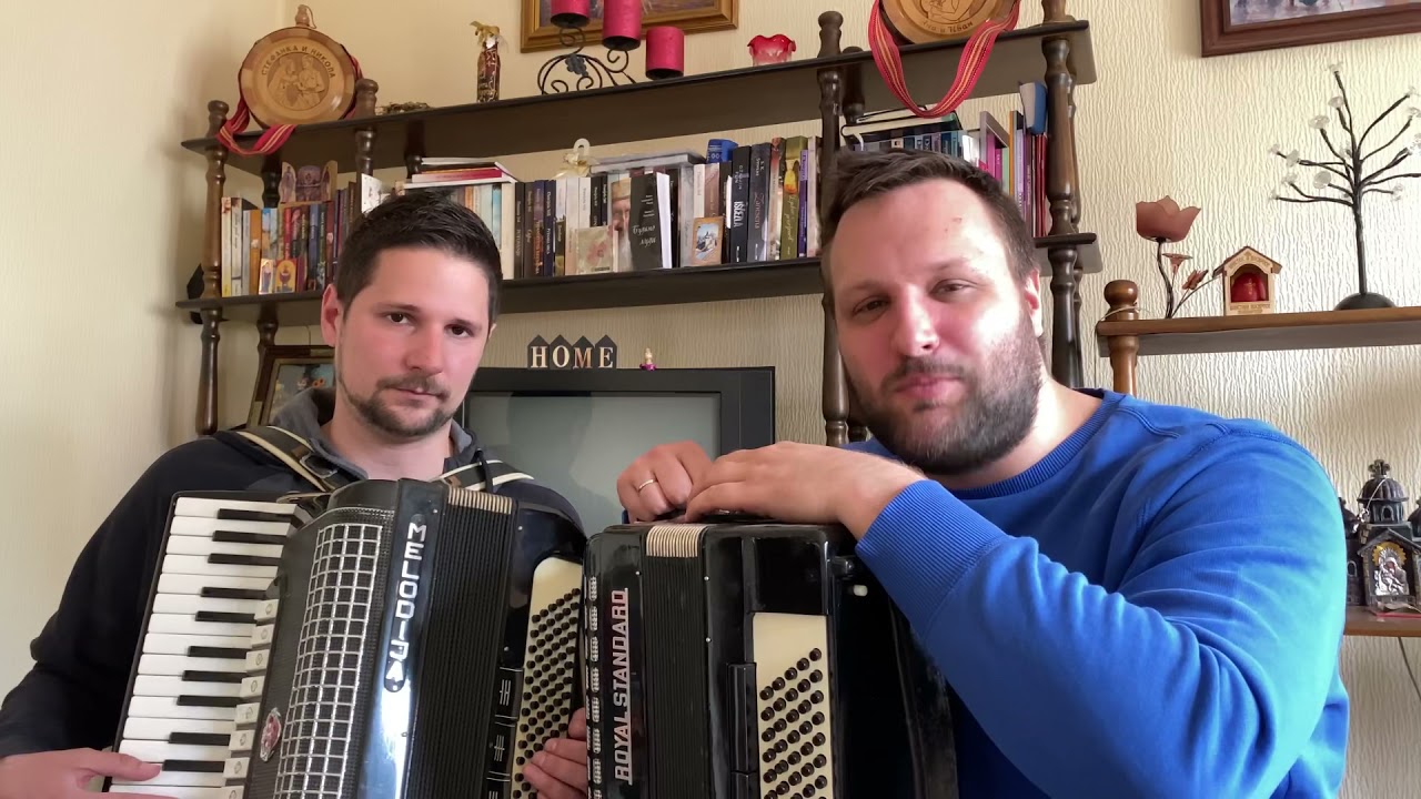 TIPOVI HARMONIKAŠA