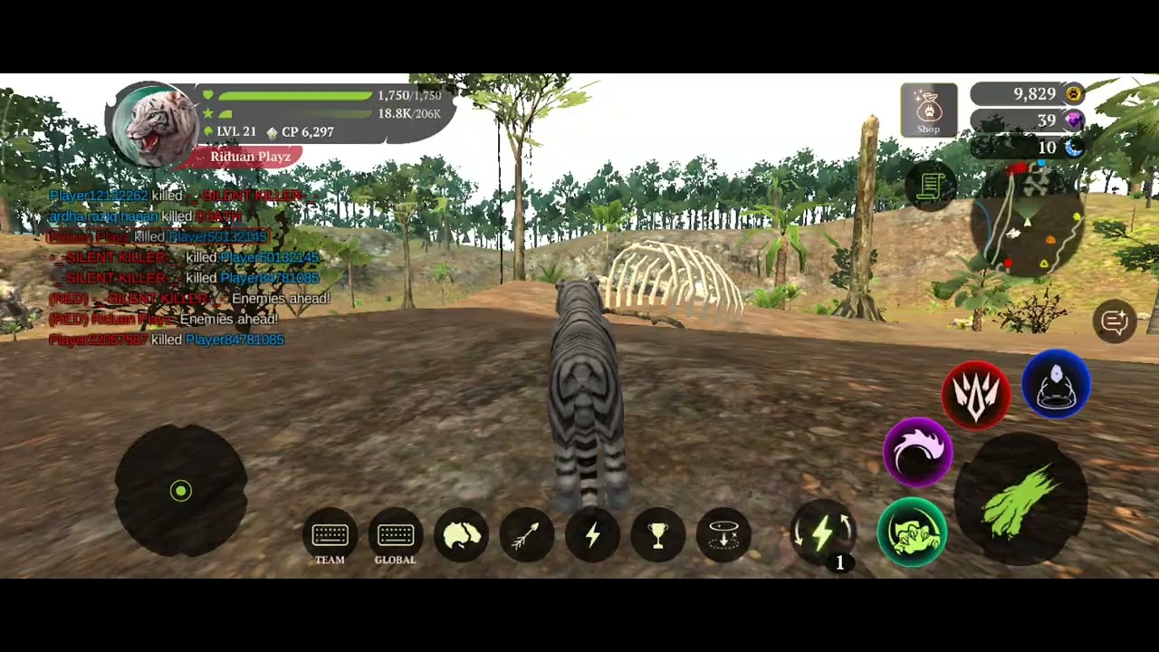 আজকে আমি খেললাম the tiger game||Today I playd the tiger game||Riduan Playz