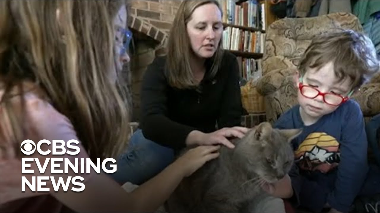 Cat reunited with owners 16 years after running away