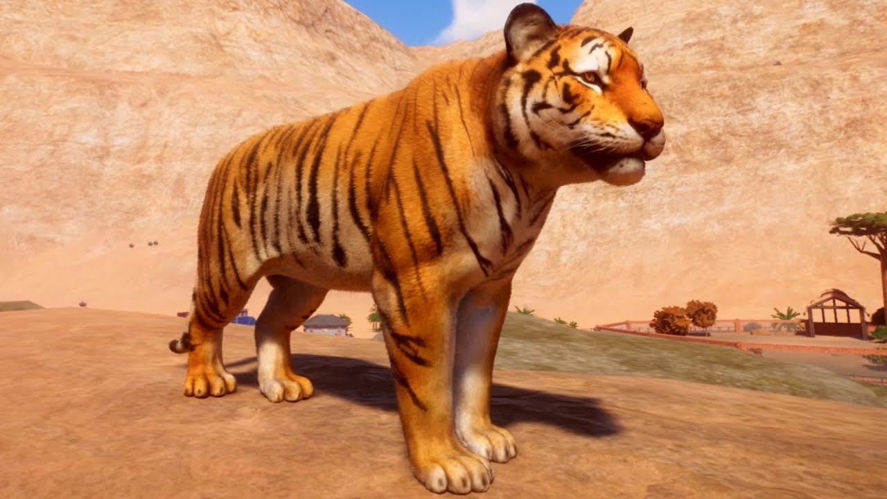 Planet Zoo - Bengal Tiger Gameplay (PC HD) [1080p60FPS]