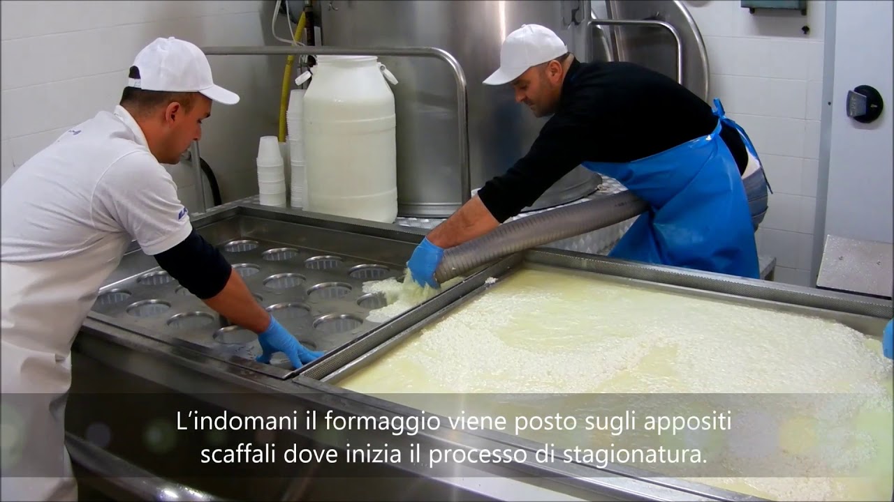 La lavorazione del latte nel Caseificio CaserPoro
