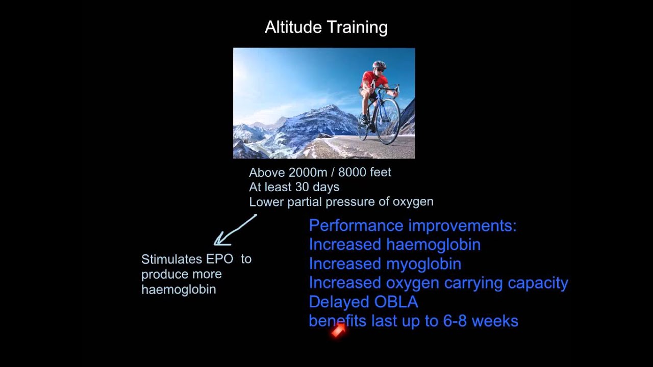 Altitude Training