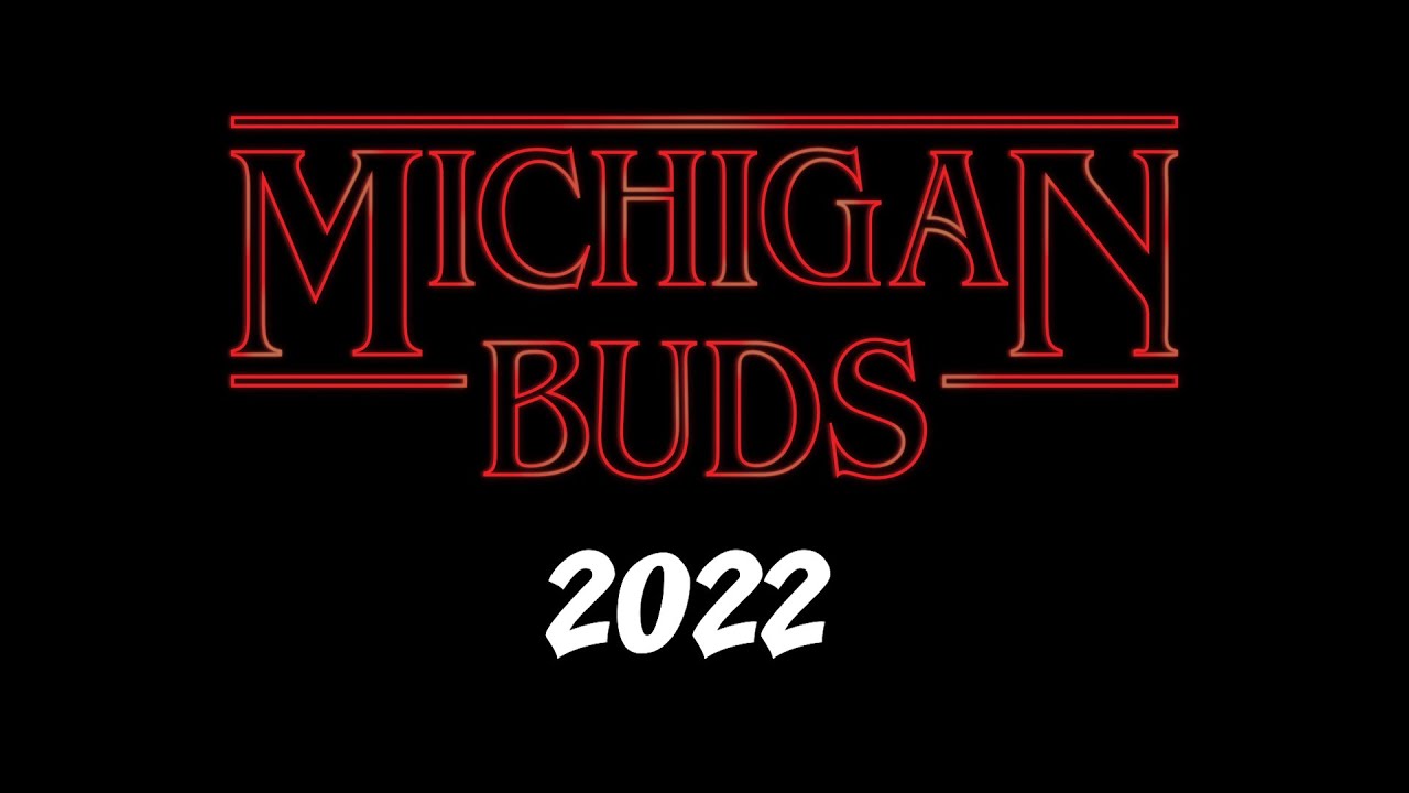 Michigan Buds Baseball Draft 2022