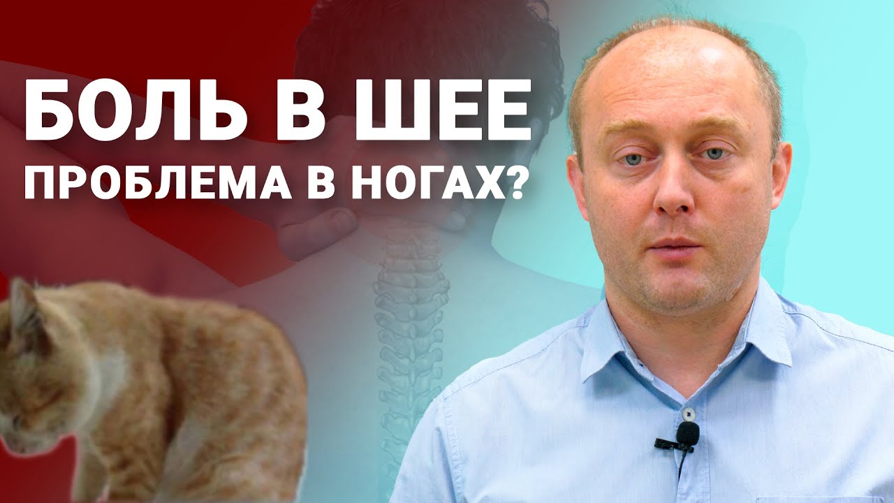 ПОЧЕМУ БОЛИТ ШЕЯ?
