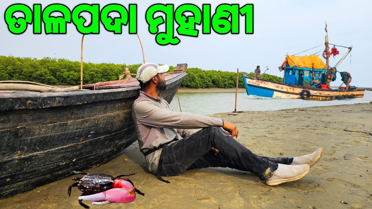 Talapada Beach Gopalpur | Must Visit Place In Balasore |