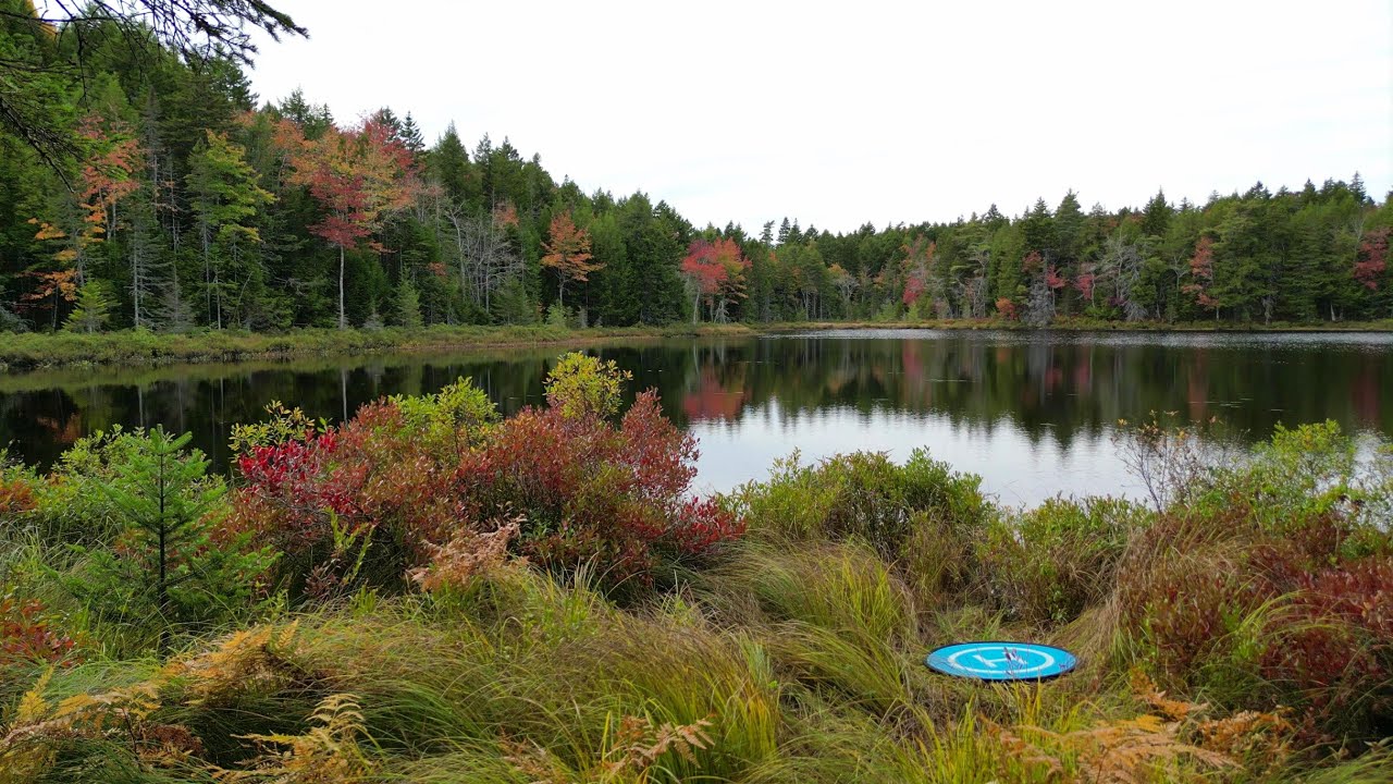 Beautiful Autumn Colours Around A Lovely Little Lake Hidden In Forest - Cinematic 4K, DJI Mini 3 Pro