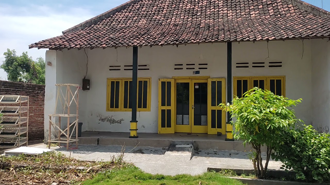 kandang puyuh murah
