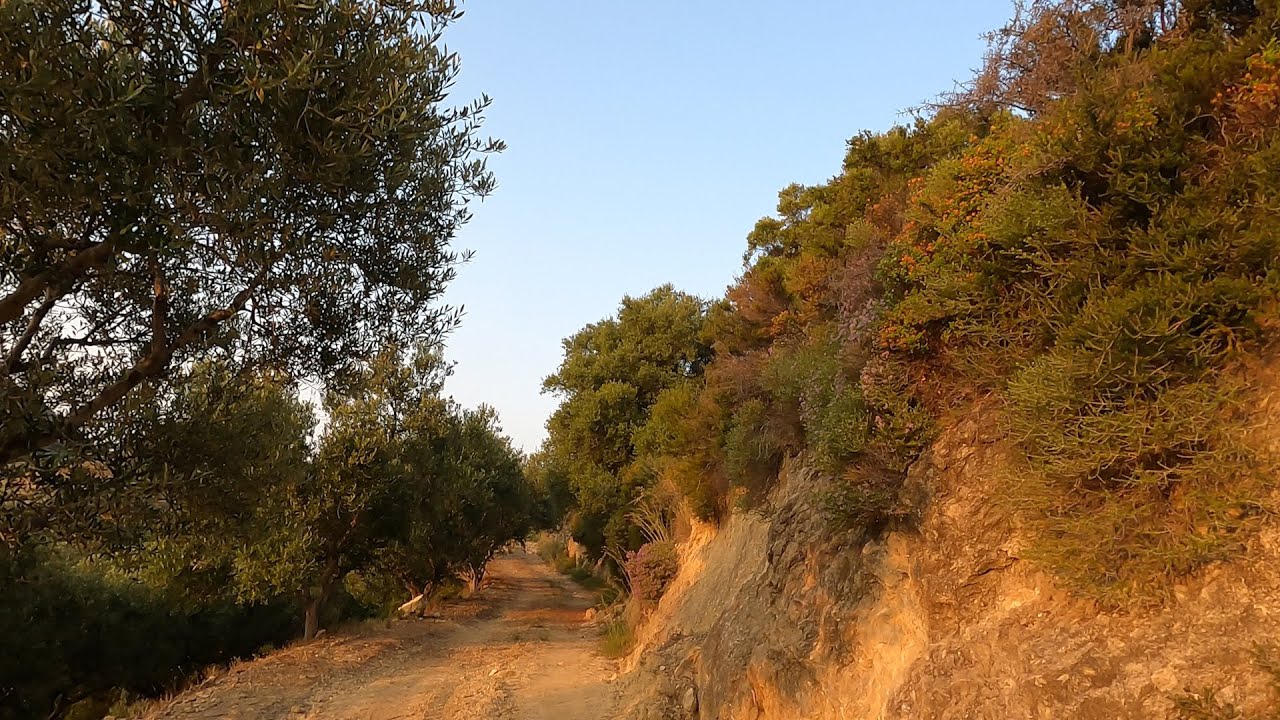 Run #22-  Kalamaki to Argassi, Kanalos and back, Zakynthos, Greece, June 2023, 6am morning run