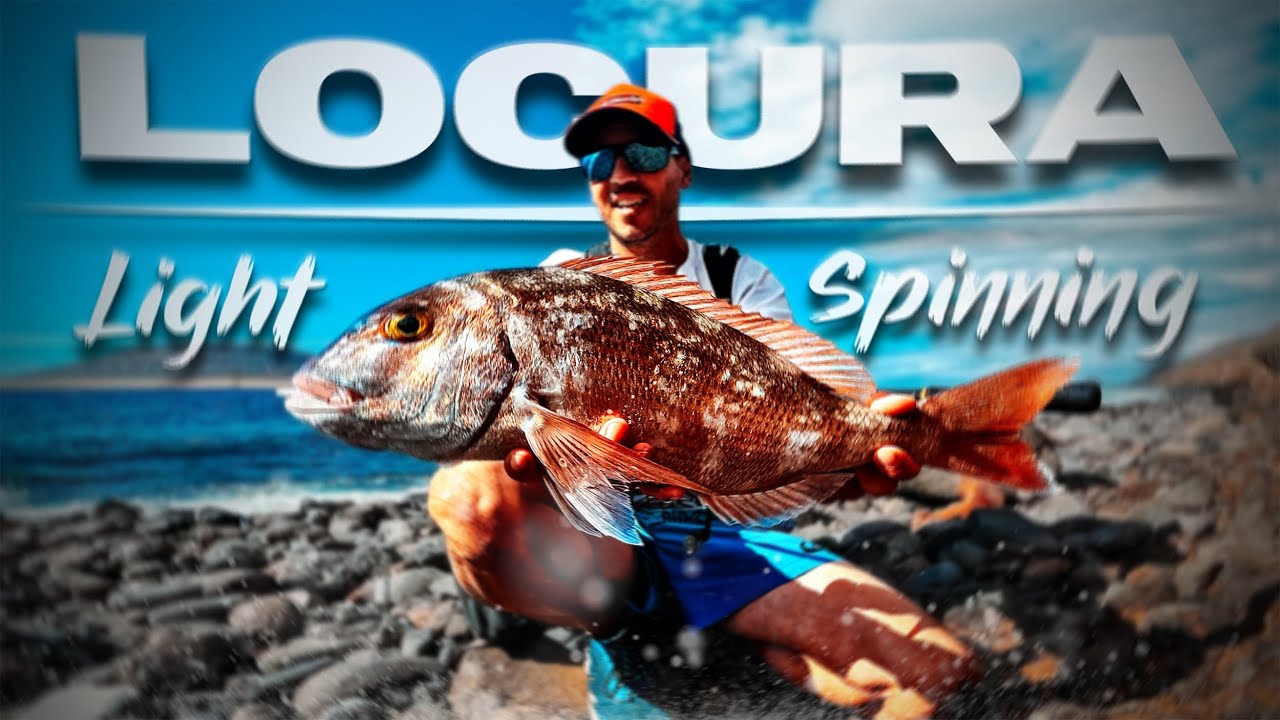 Cuando NO ESPERAS Peces tan POTENTES... | Lured Vlog 357