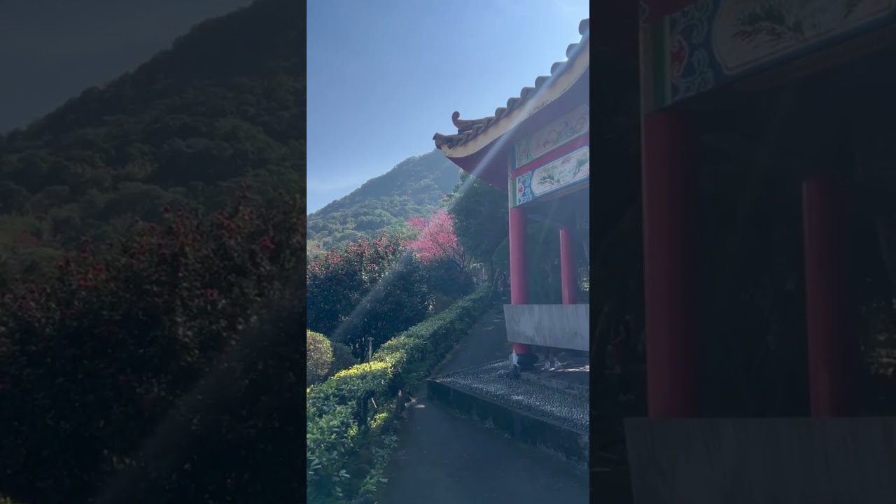 Gimmie Liang引光喚雲2026021401