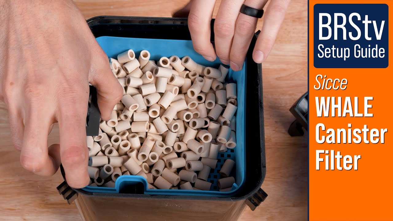 How to Setup and Use the Sicce Whale Canister Filter on Your Saltwater Aquarium.