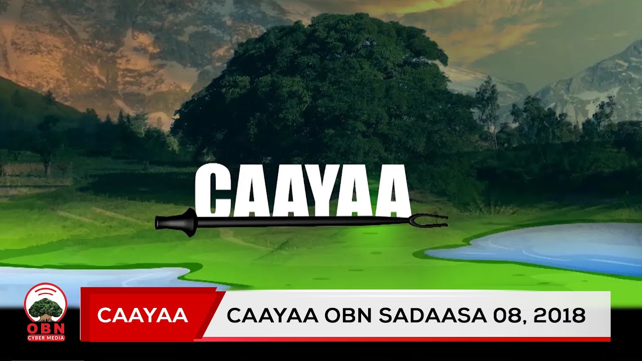 Caayaa || AanaaTokkee Kuttaayee