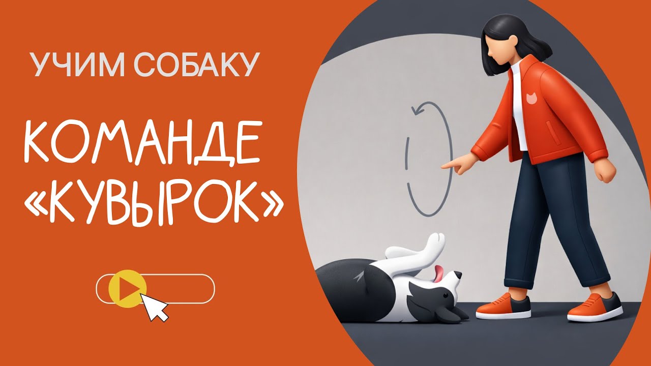Как научить собаку команде «Кувырок»? 🐕 Пошаговая инструкция от Petshop