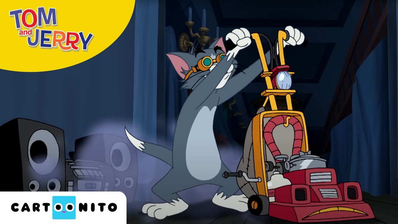 Całkiem nowe przygody Toma i Jerry’ego | Sprzątanie | Cartoonito