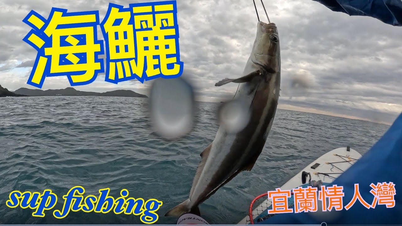 2024年11月宜蘭情人灣吃土趣 #土魠 #海鱺 #內埤 #supfishing #shimano #suptaiwan