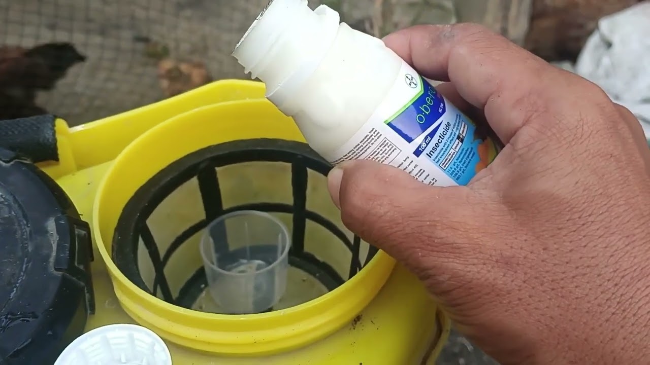 O.B.E.R.O.N Speed para sa LEAFMINER ng vegetables seedlings