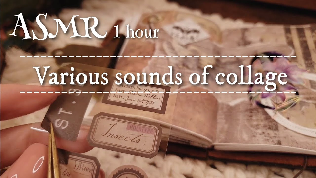ASMR｜コラージュの色々な音/Various sounds of collage｜sleeping,Relaxing, 睡眠,作業,BGM