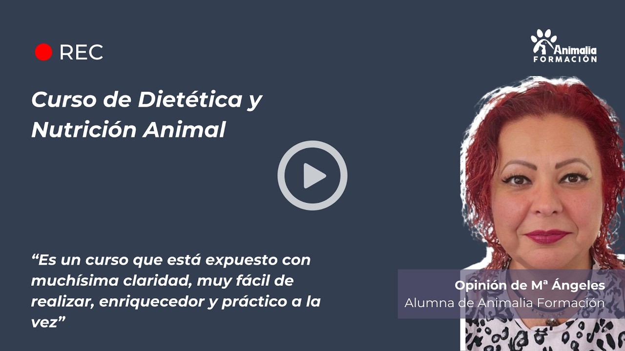 Opinión MªÁngeles - Curso de Dietética y Nutrición Animal