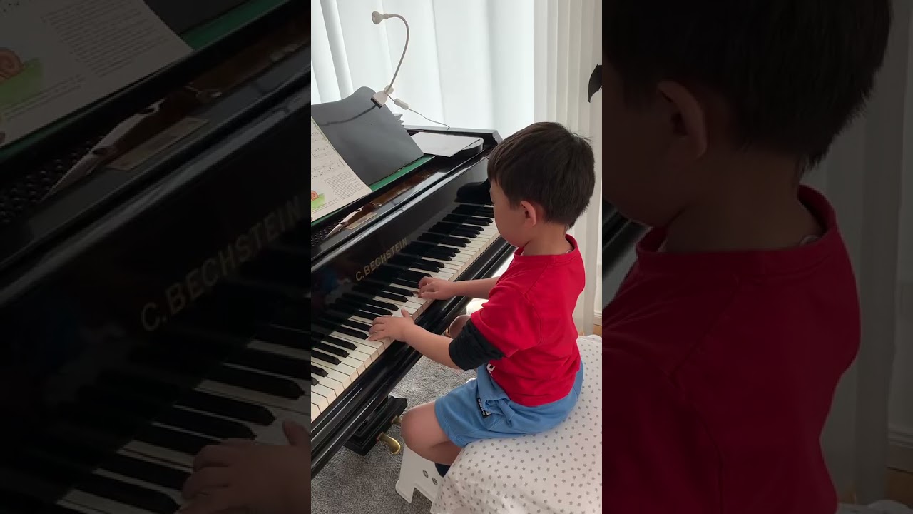 Schmetterlings-Walzer