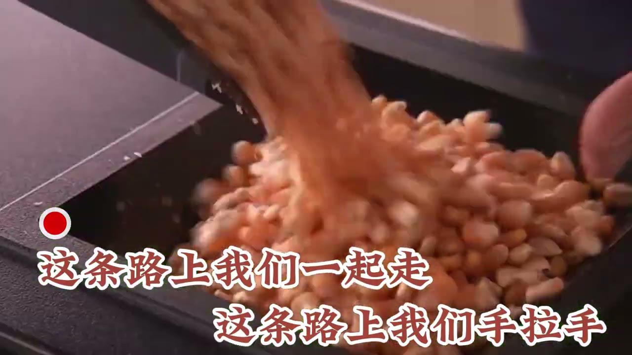 这条路我们一起走  伴奏