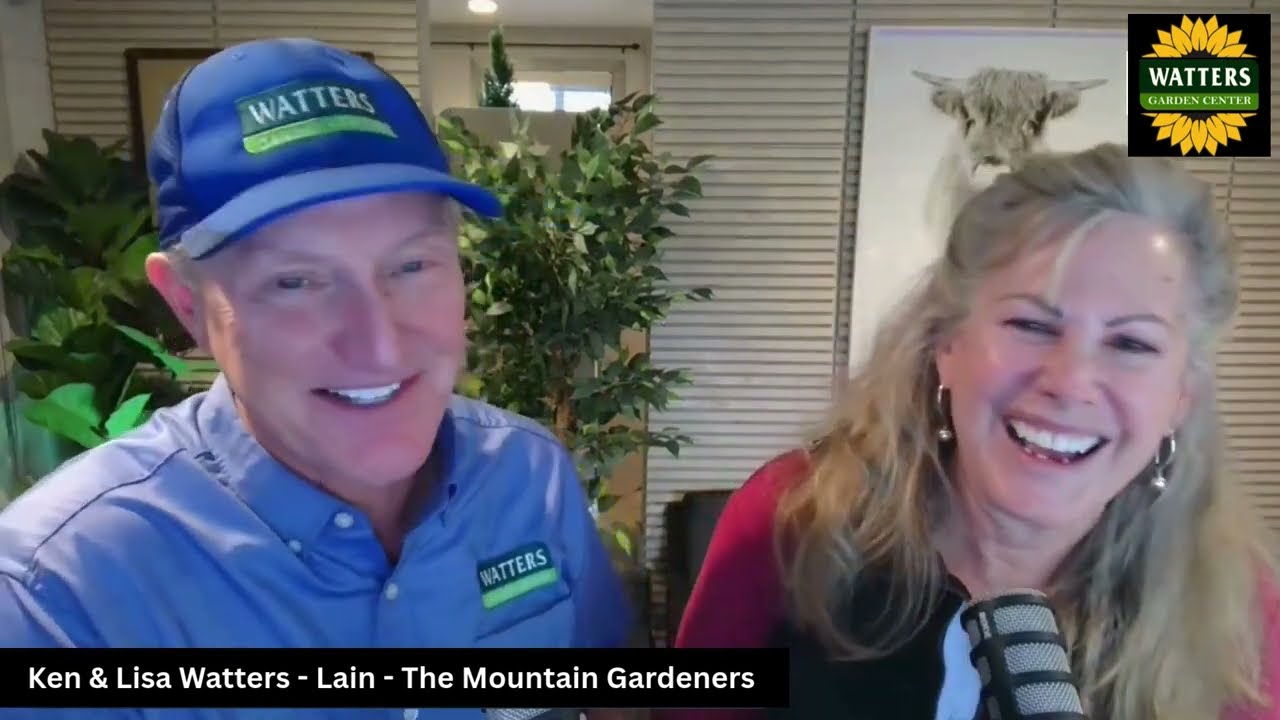 Top 10 Year-End Garden Tasks for a Better Yard