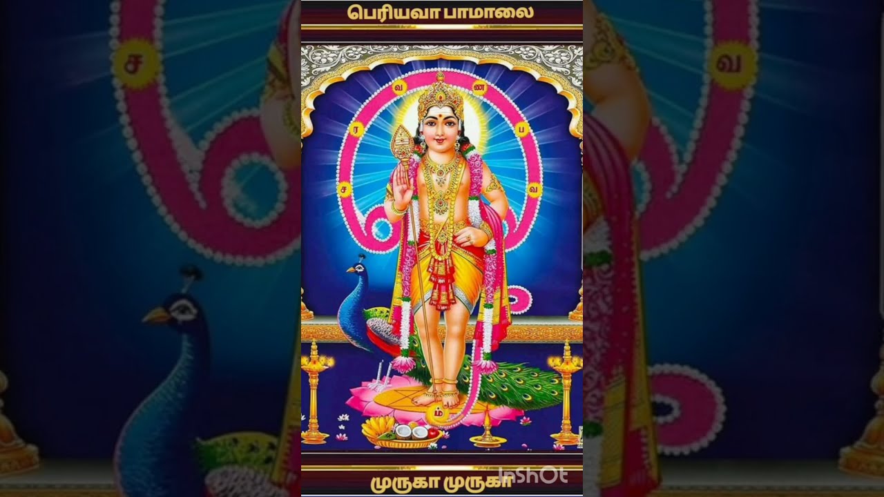 முருகனை வணங்கிடுவோம் முக்திதனை வேண்டிடுவோம் | குமரா | ஆறுபடையப்பா | முருகா | கந்தா | கார்த்திகேயா