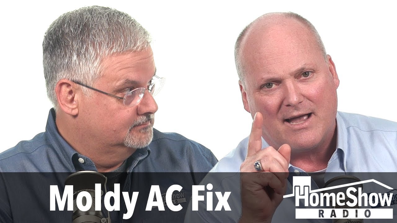 What should I do about mold in my AC system?