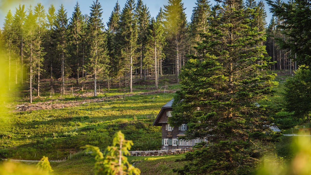 U(h)rwaldpfad am Rohrhardsberg | Raus mit Klaus