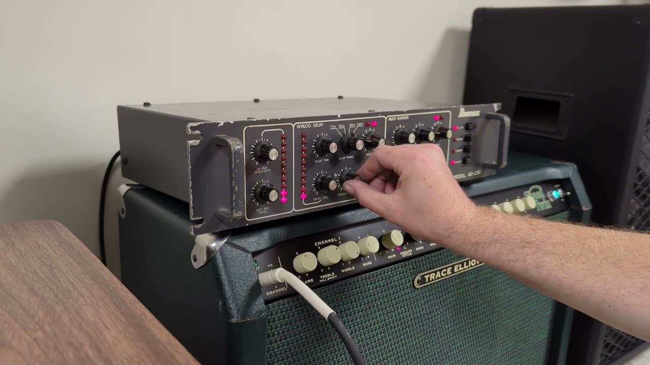 Ibanez/Maxon AD-230