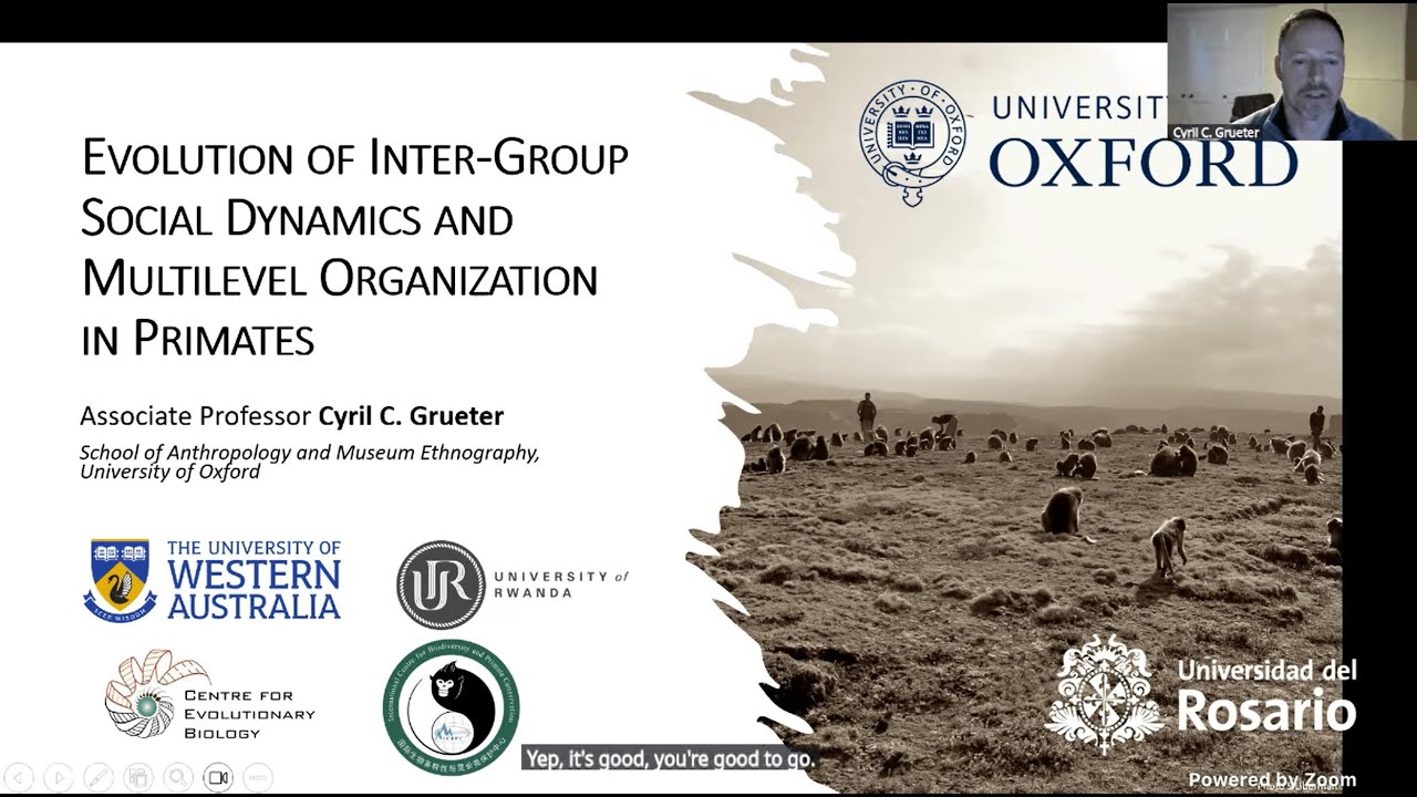 Cyril Grüter: Inter-group social dynamics, multilevel organization in primates (2 Dec. 2025)