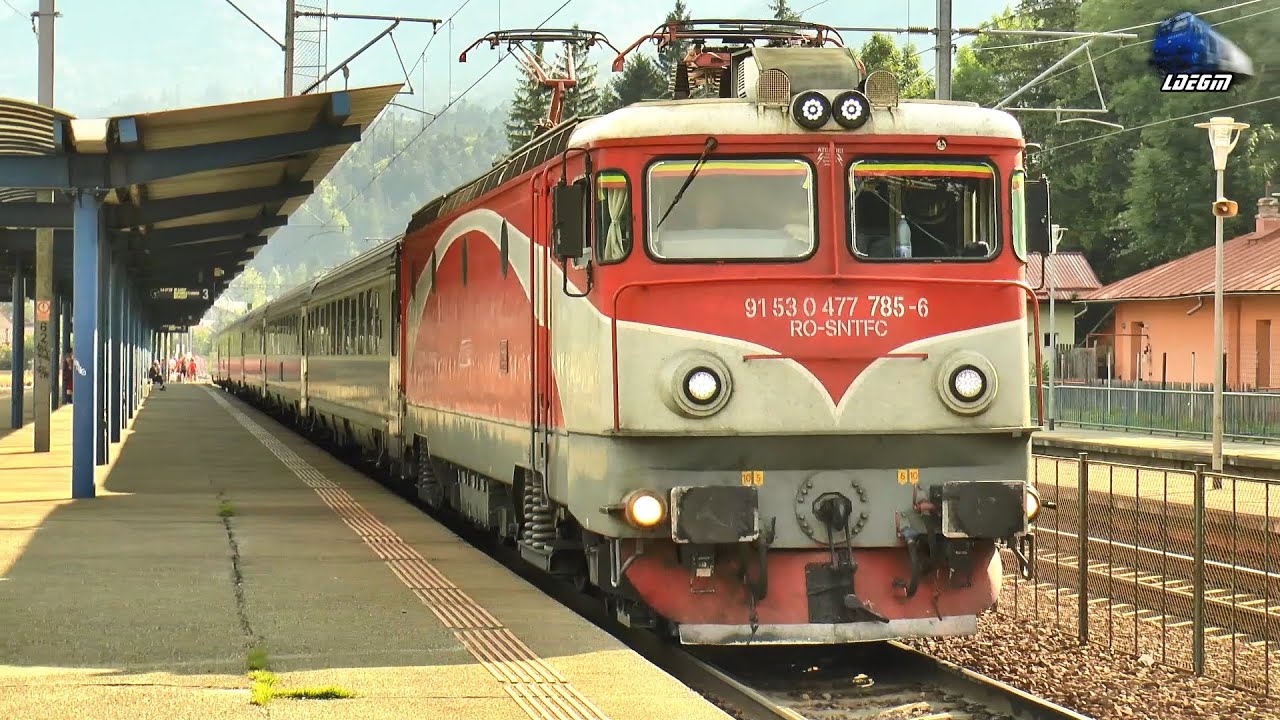 Trenuri în Gara Bușteni 🚊🚅⛰ Trains in Bușteni Station - 26 August 2024