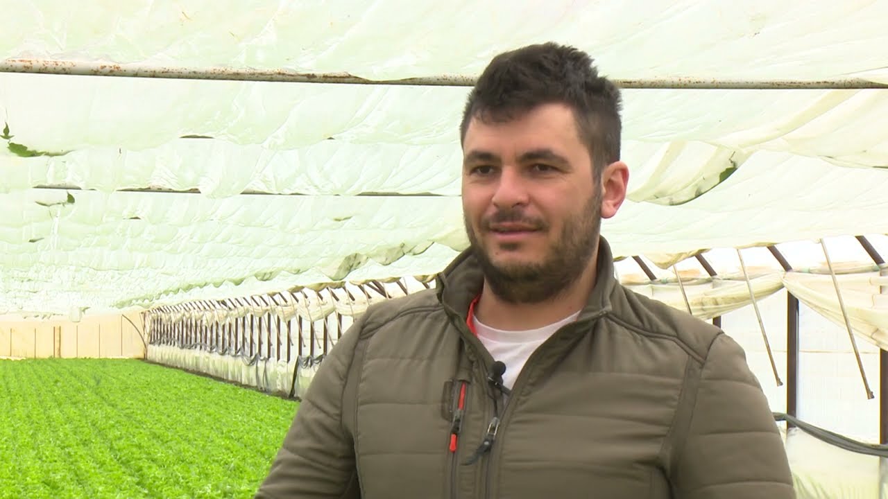 În grădina Danei: Despre răsaduri şi condiţiile optime pentru acestea (@TVR1)