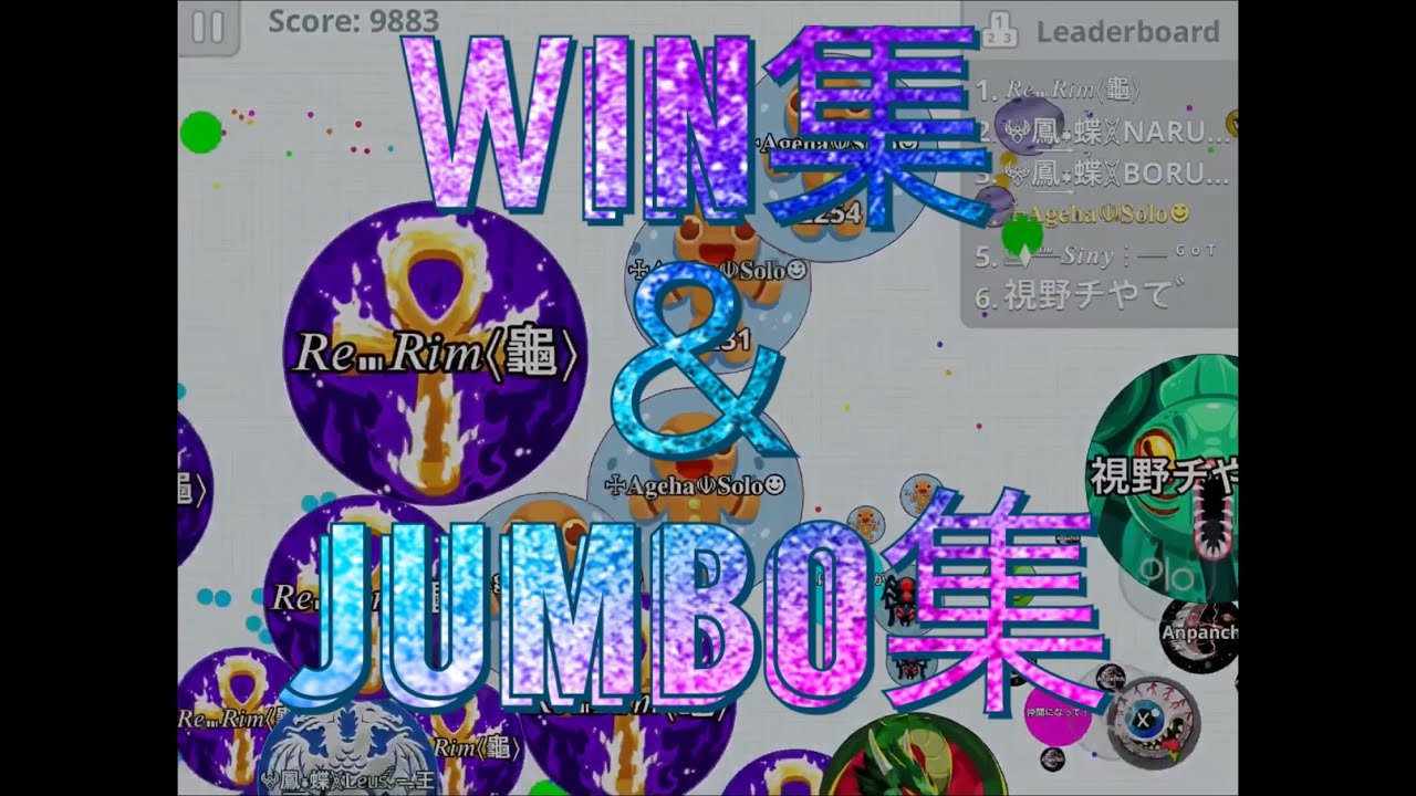 Win集1