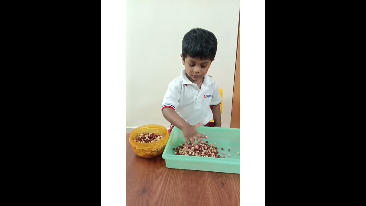 Class: Play Group, Art time :-To transfer handful of mixed grains from the bowl to a tray.