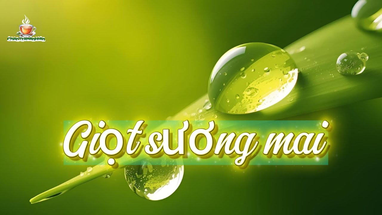 Giọt sương mai #giotsuongmai #nhacthien #nhacthienviet #thienphatgiao   #binhyen #meditationmusic