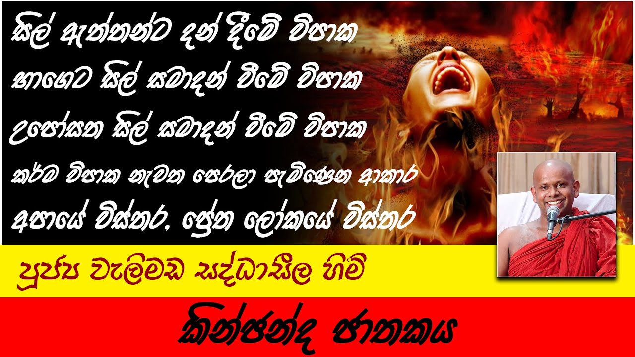 Kinchanda Jathakaya | කින්ඡන්ද ජාතකය | Venerable Welimada Saddaseela Thero