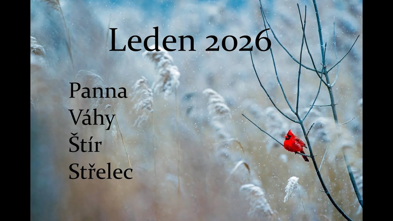 LEDEN❄️Panna-Váhy-Štír-Střelec♍♎♏♐#tarot#january#virgin#2026💫@cestamiksoběvýkladykaret