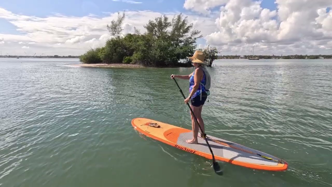 Ft Pierce   Dolphins