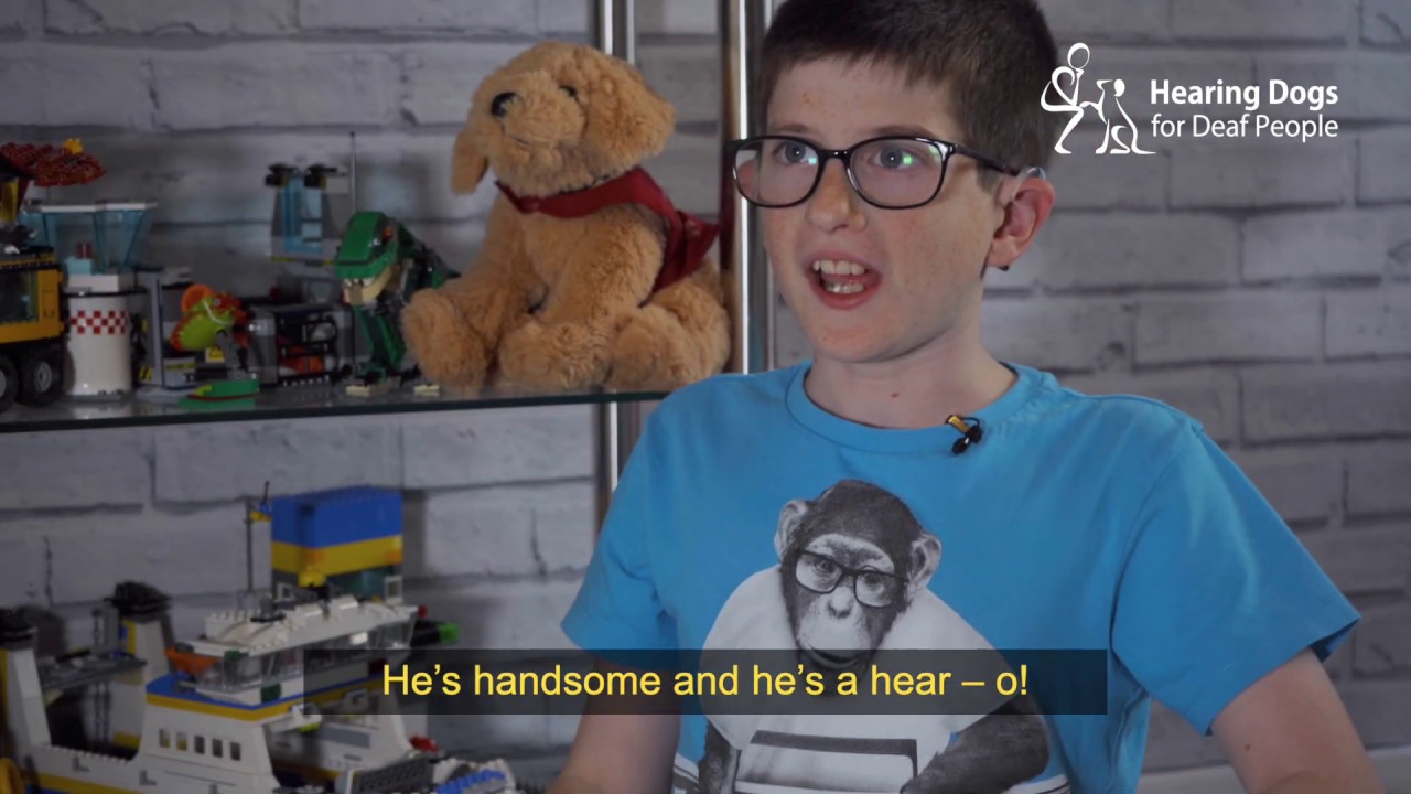 Zach and hearing dog Echo's amazing story