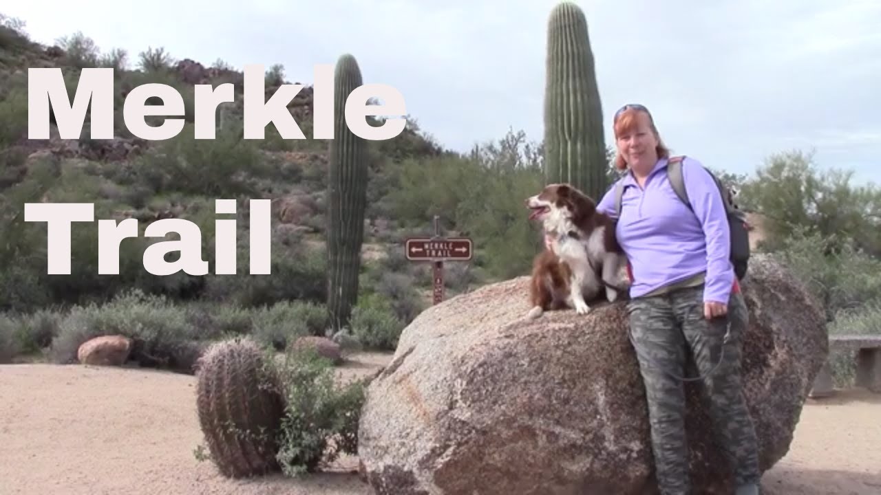 Merkle Trail Hike - Usery Mountain Regional Park - Best Hikes in Phoenix Series
