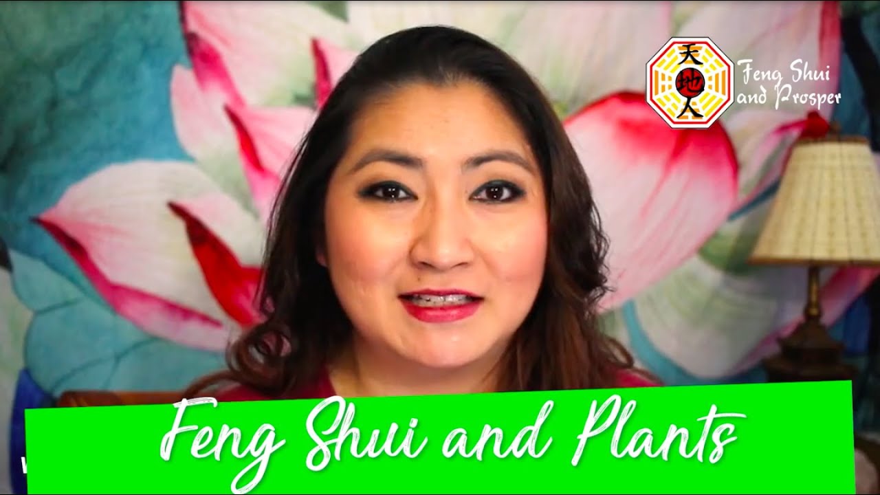 Feng Shui and Plants!