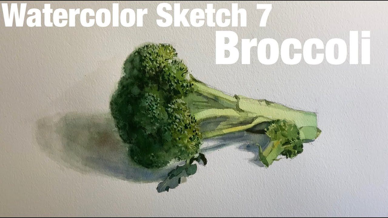 Watercolor Sketch 7 / Broccoli 水彩スケッチ 7 / ブロッコリ