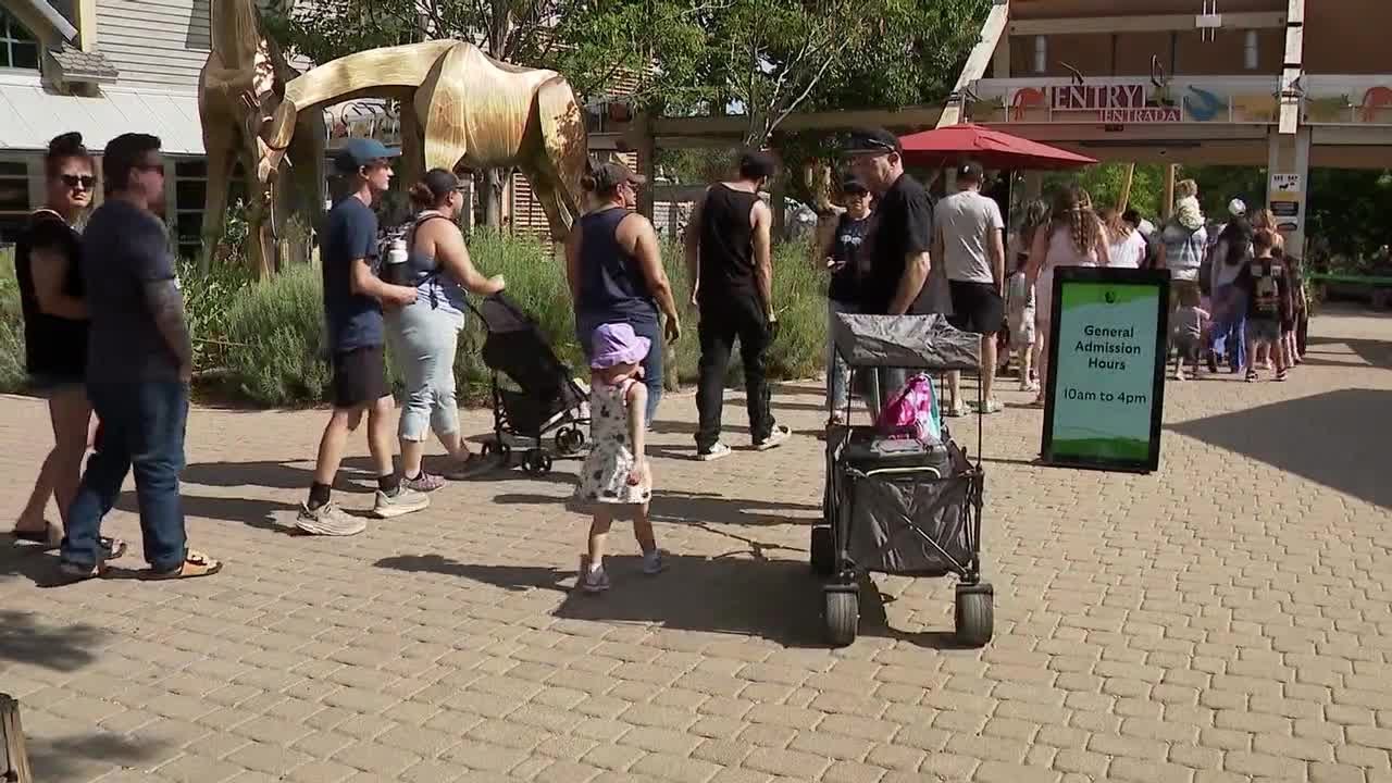 Denver Zoo calls decision to close early ahead of City Park 'takeover' event the 'best for us'
