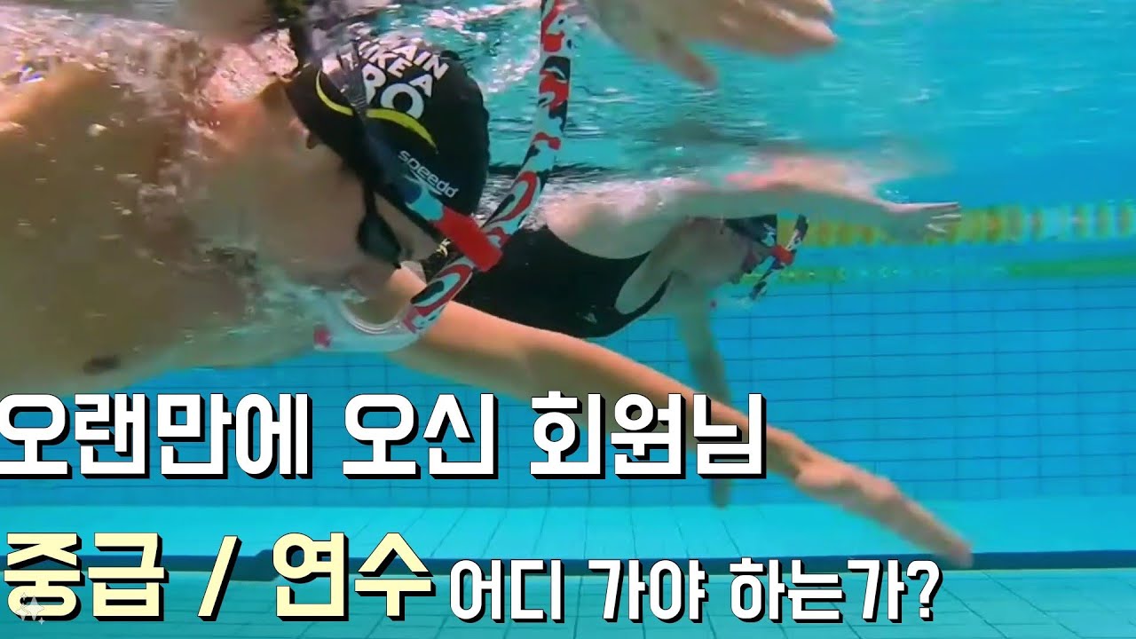 오랜만에 수영장에 왔다면 어느 레인반으로 가야 하는가?(중급반? 연수반?)