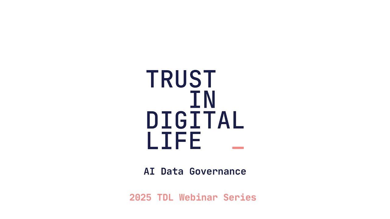 AI Data Governance
