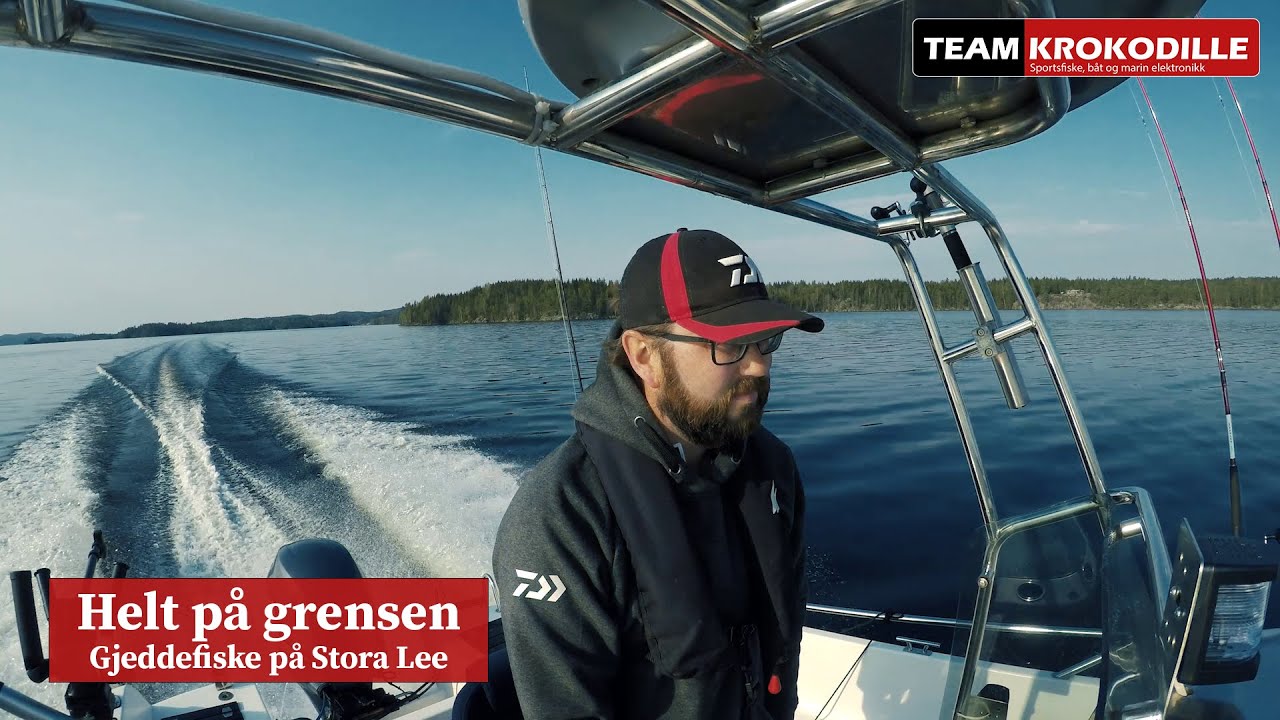 Helt p&aring; grensen - Gjeddefiske p&aring; Stora Lee