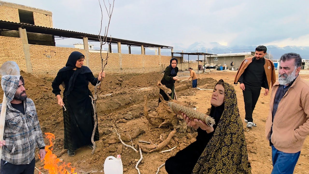 A Busy Day at Paren Farm 🌾: Family Work & Fatemeh’s Delicious Cooking 🍲🥘