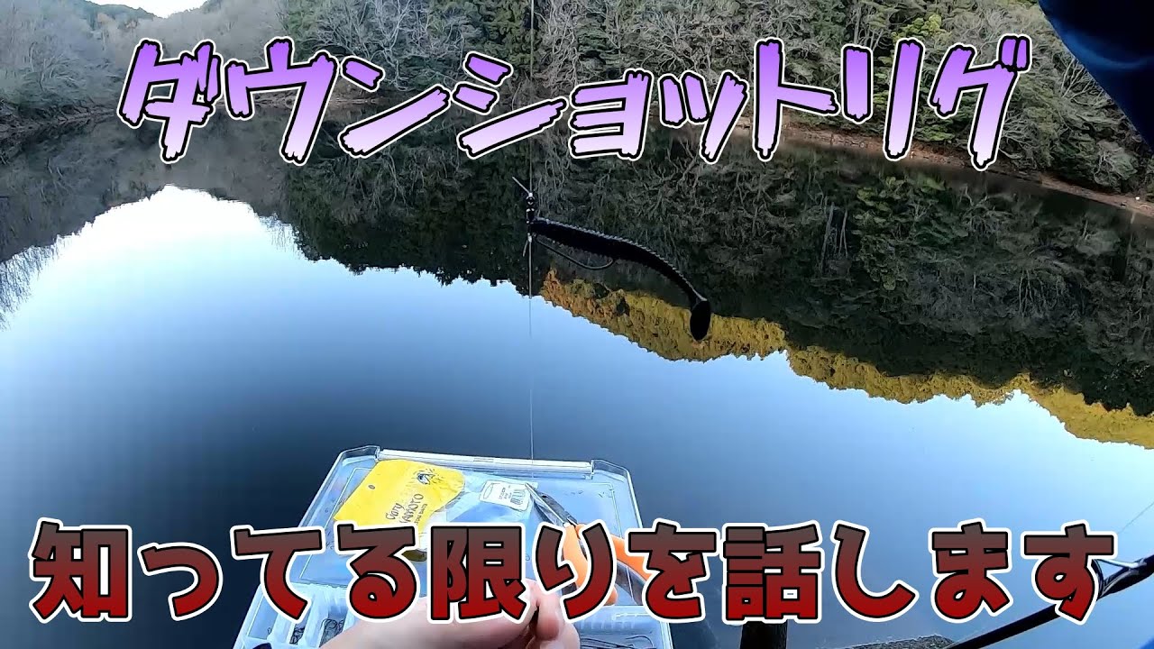 【ダウンショット解説】新年らしさ？知らん【初心者向けかな】
