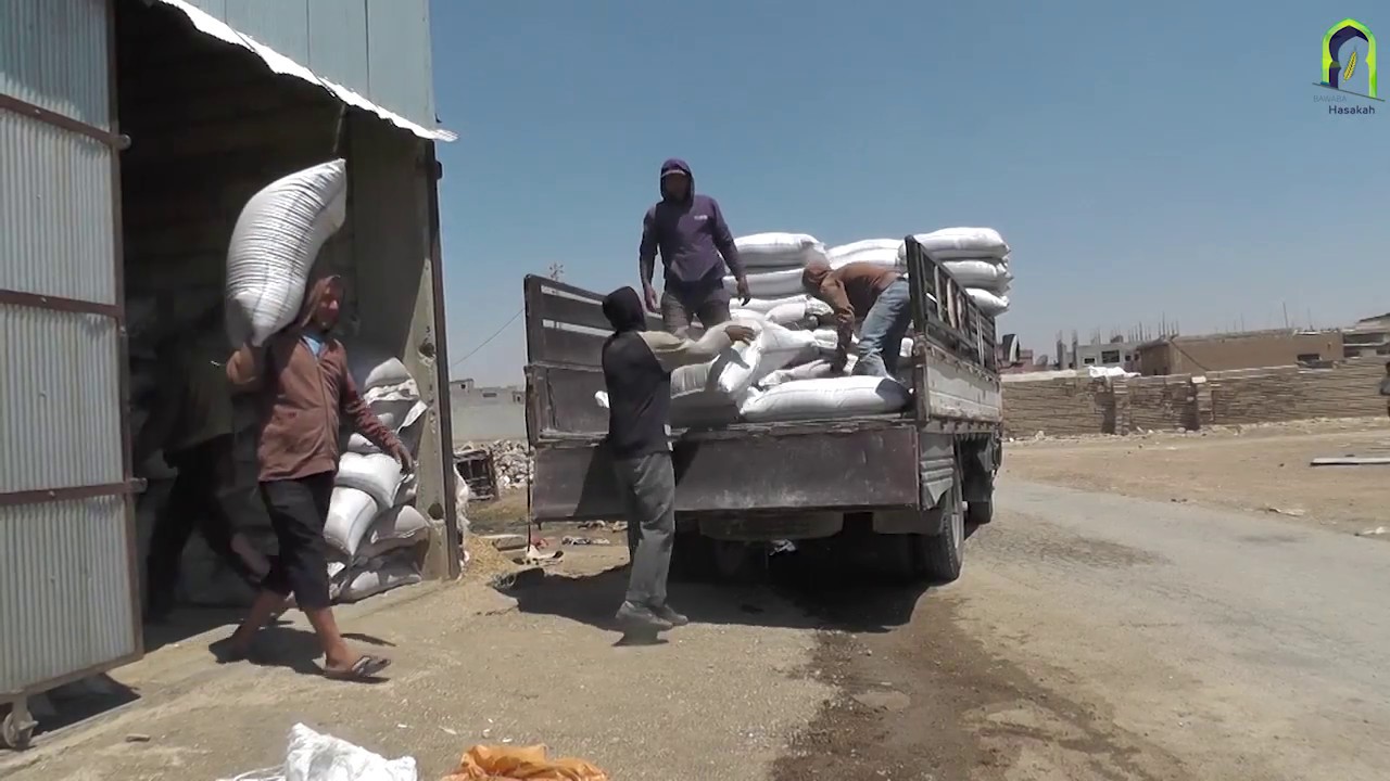 تقريراً مصوراً عن منشأة لفرز البذور في مدينة عامودا