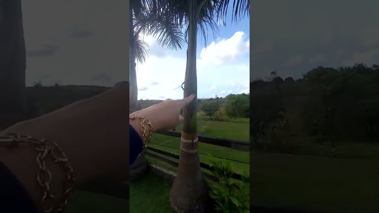 Aldeia - Fazenda/Haras. Acesse o insta @barzaimoveisaldeia